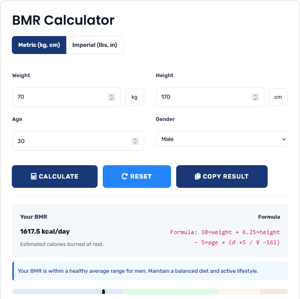 Professional basal metabolic rate calculator showing detailed energy expenditure analysis