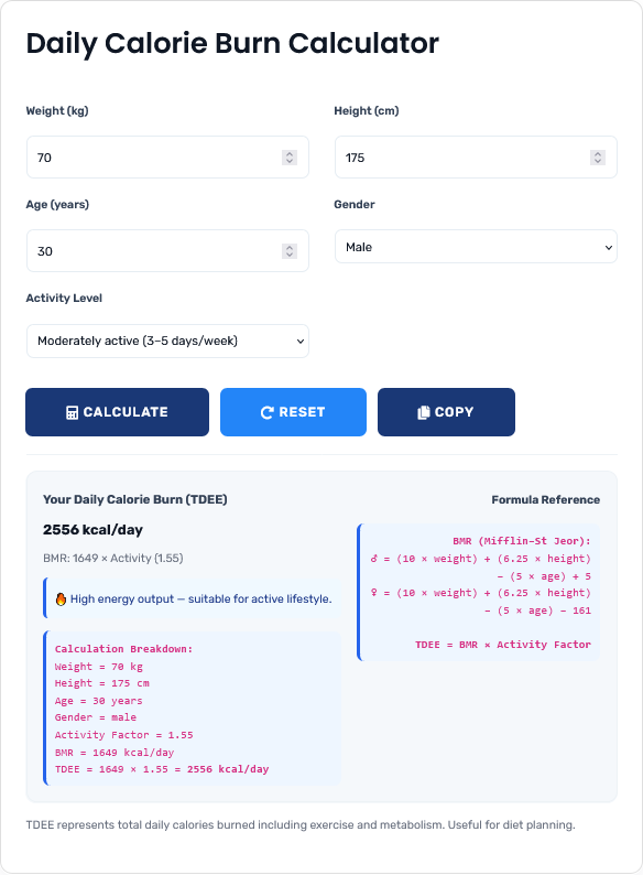 Professional calorie burn calculator showing detailed metabolic analysis