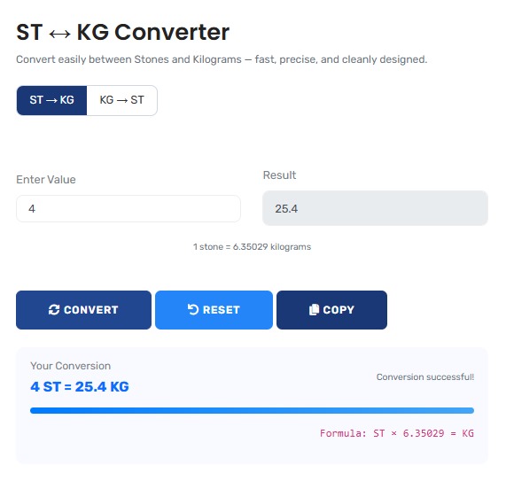 Professional stone to kilogram converter showing detailed conversion analysis